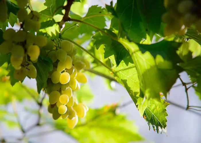 Ema アパート ドゥブロブニク